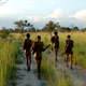 Illustration for article titled A view of the exact region in Africa where humans emerged